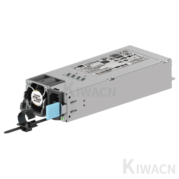 P/N: 03041010020 2000w Module