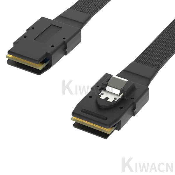 0304090016-SAS (8087) Connection Cable